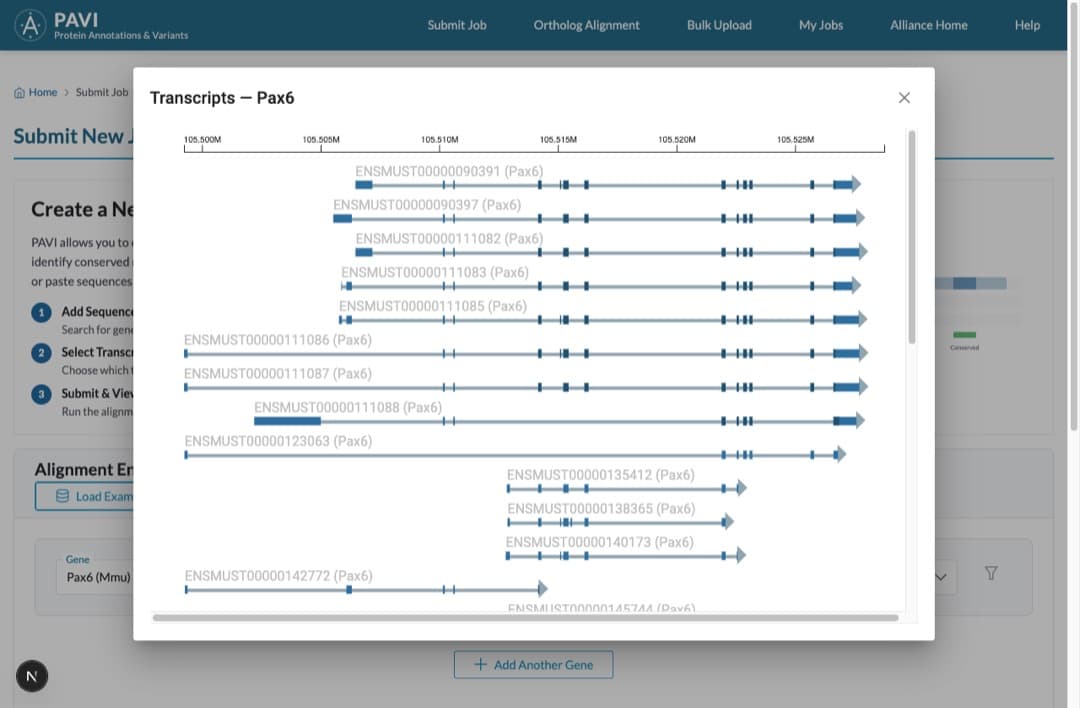 The View transcripts dialog titled Transcripts — Pax6, showing an interactive diagram of many isoform models drawn along a genomic position axis.