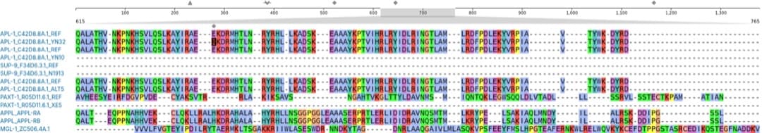 The interactive alignment viewer: a position ruler with variant markers across the top, sequence names down the left, and a colour-coded multiple sequence alignment grid of amino-acid residues.